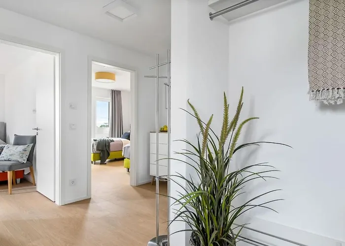 Meeresleuchten Olpenitz